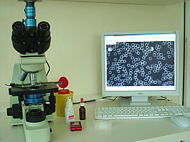 Dunkelfeld-Mikroskop